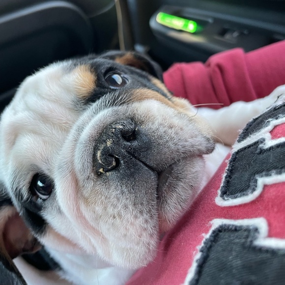 Meet your Posher, Amy. - Picture 2 of 8